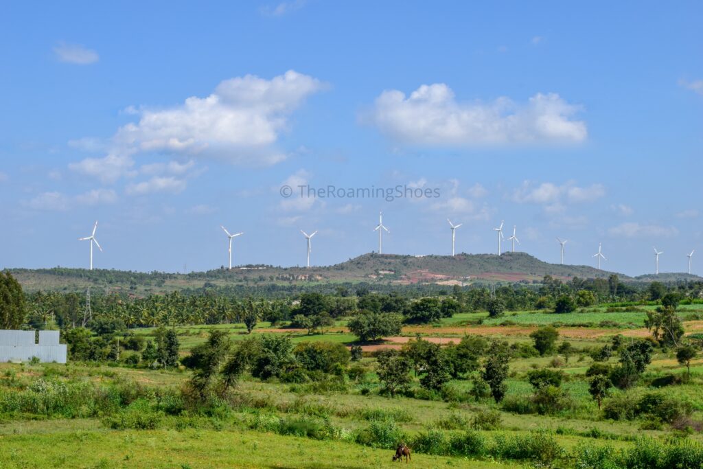 Windmills near Hassan on the way to Chikkamagaluru