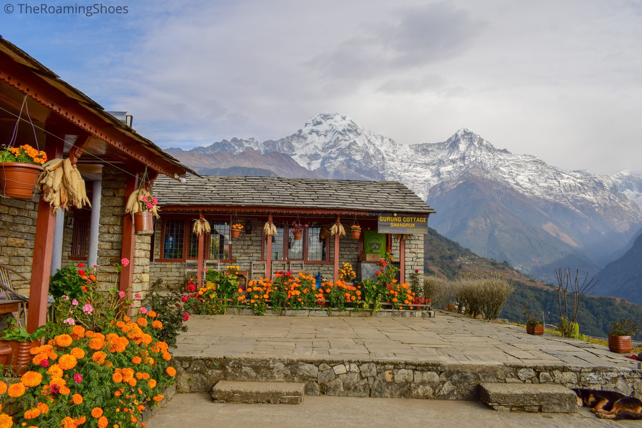 Trek To Ghandruk Things You Need To Know