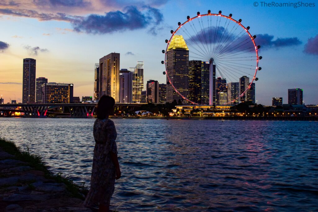Singapore flyer in the evening