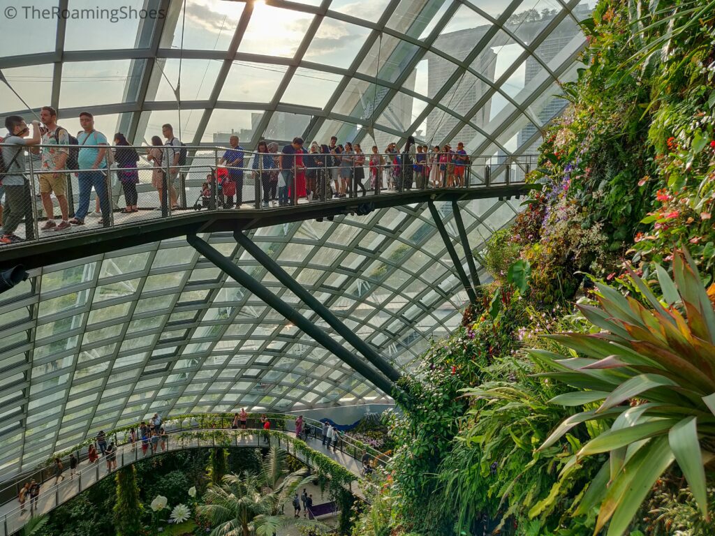 Inside the Cloud Forest dome