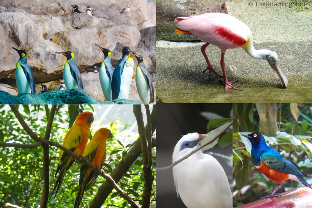 Zurong Bird Park