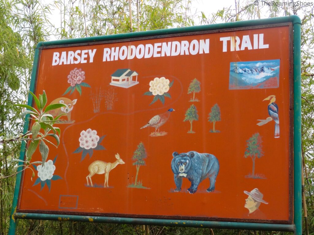 Varsey Rhododendron Trail