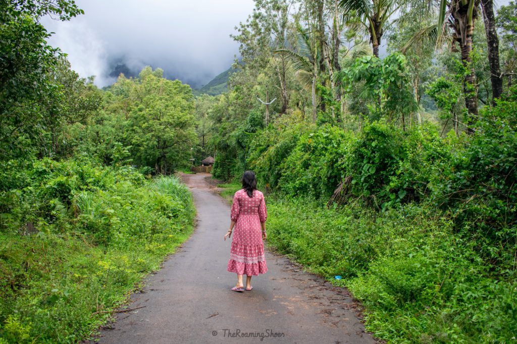 Scenic road around banasura hill resort