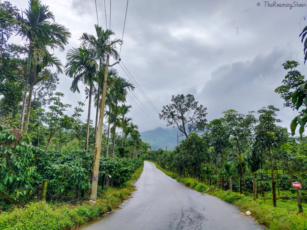 The road to banasura sagar dam