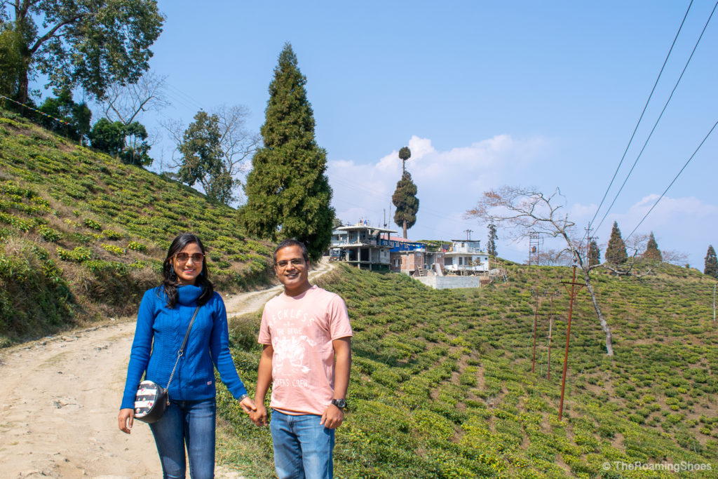 Lamahatta tea garden