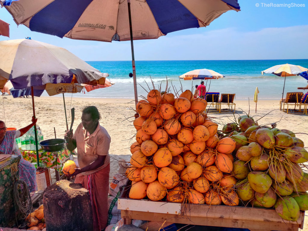 Road side coconuts at Kovalam beach