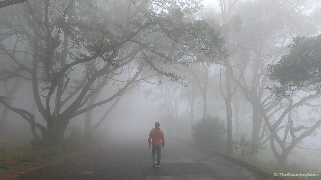 Walk in the fogs during Staycation at Nandi Hills