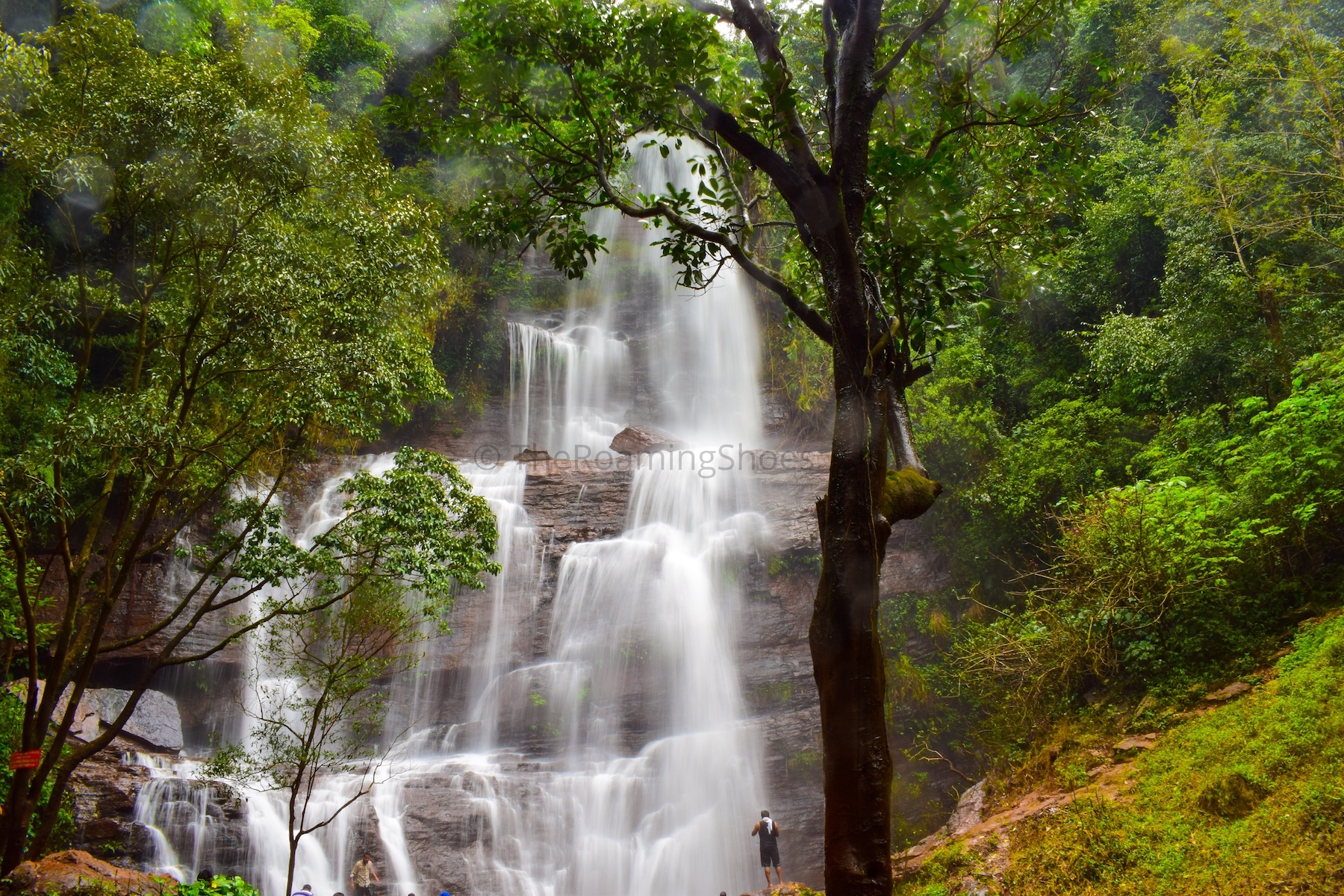 Things to Do In Chikmagalur