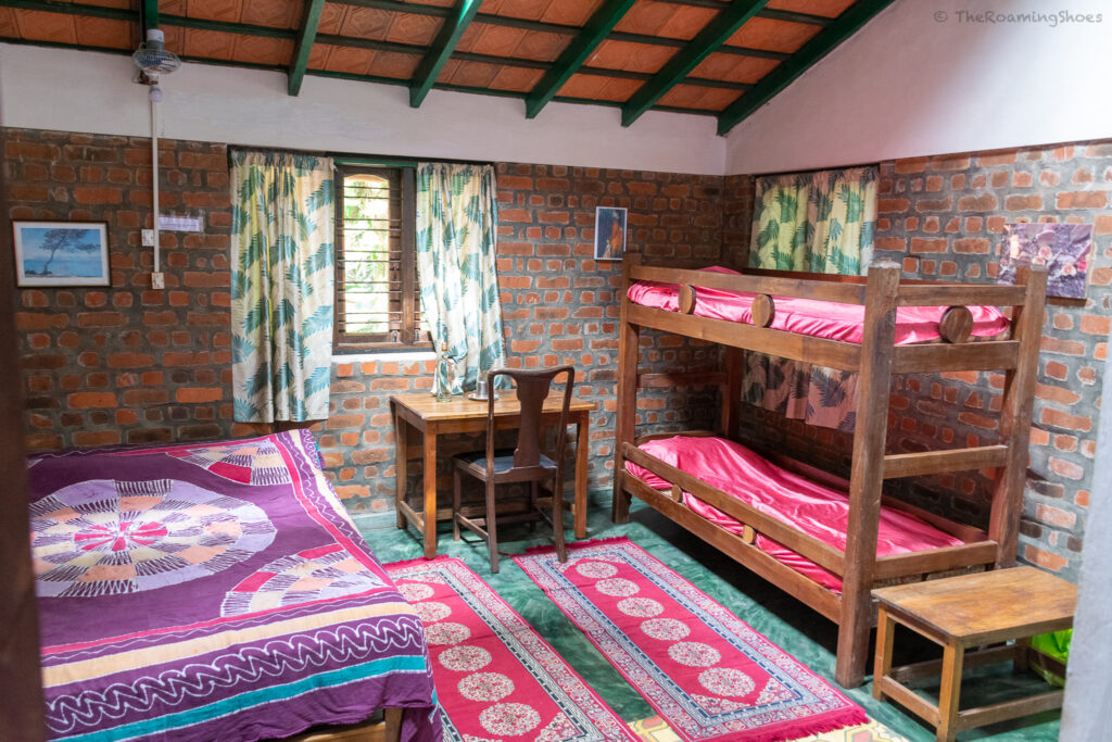 Deluxe room at Rainforest Retreat