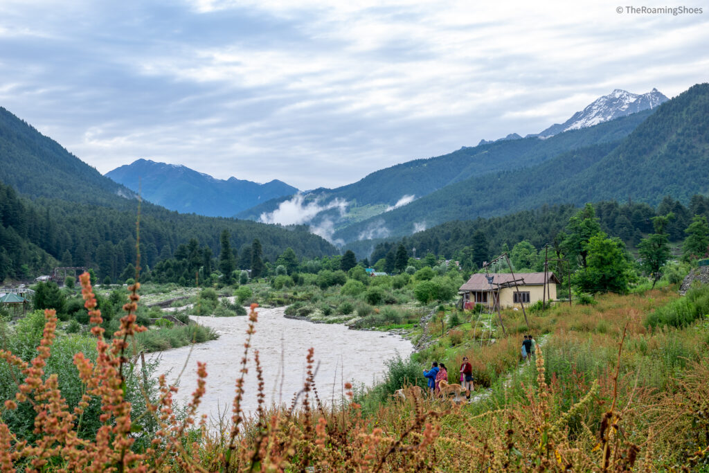 View of the river in Pahalgam