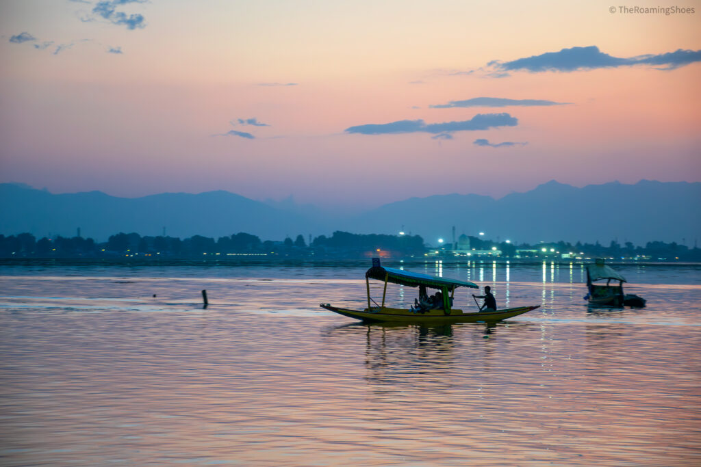 Sunset Shikara ride in Dal Lake - Kashmir