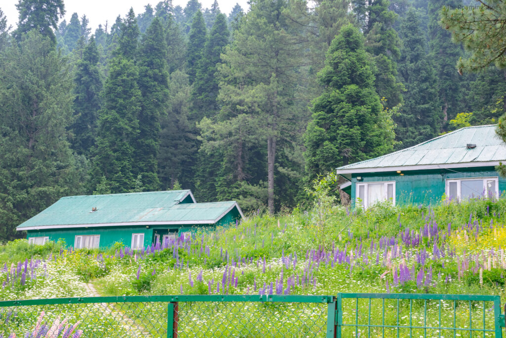 JKTDC Cottages close to the market and Gulmarg Gondola