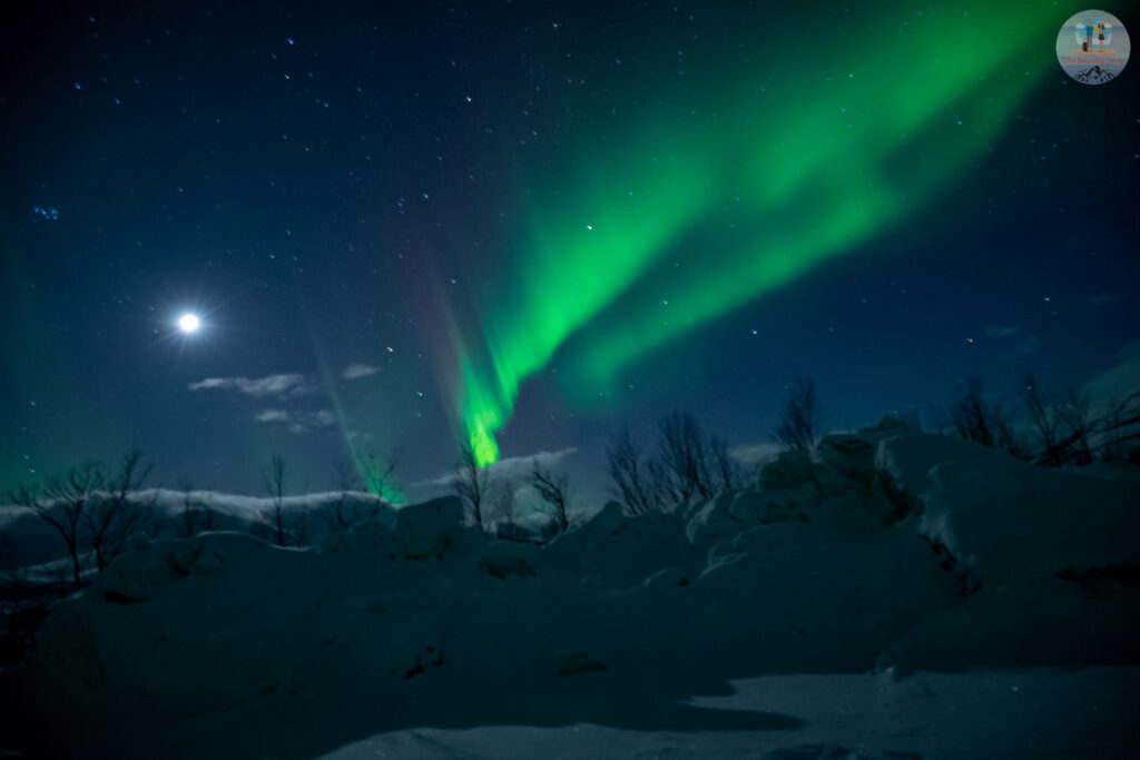 Aurora show in a moonlit night
