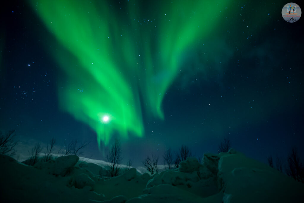 Shapes of Aurora
