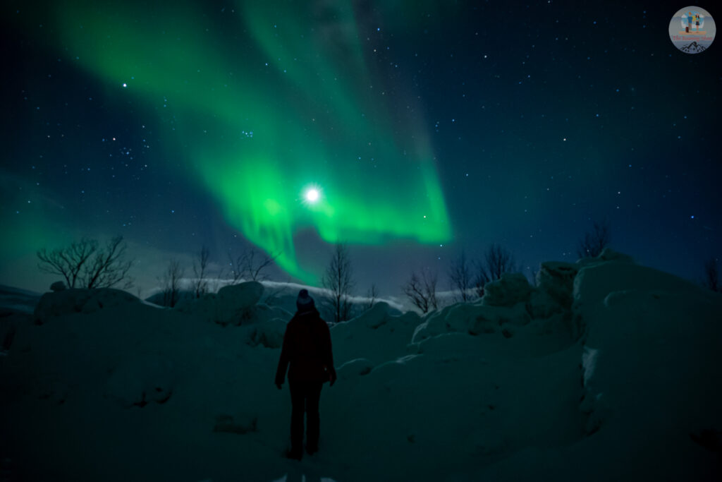 Does anyone feel this Northern Lights look like a Shark? And yes, that's the moon there!