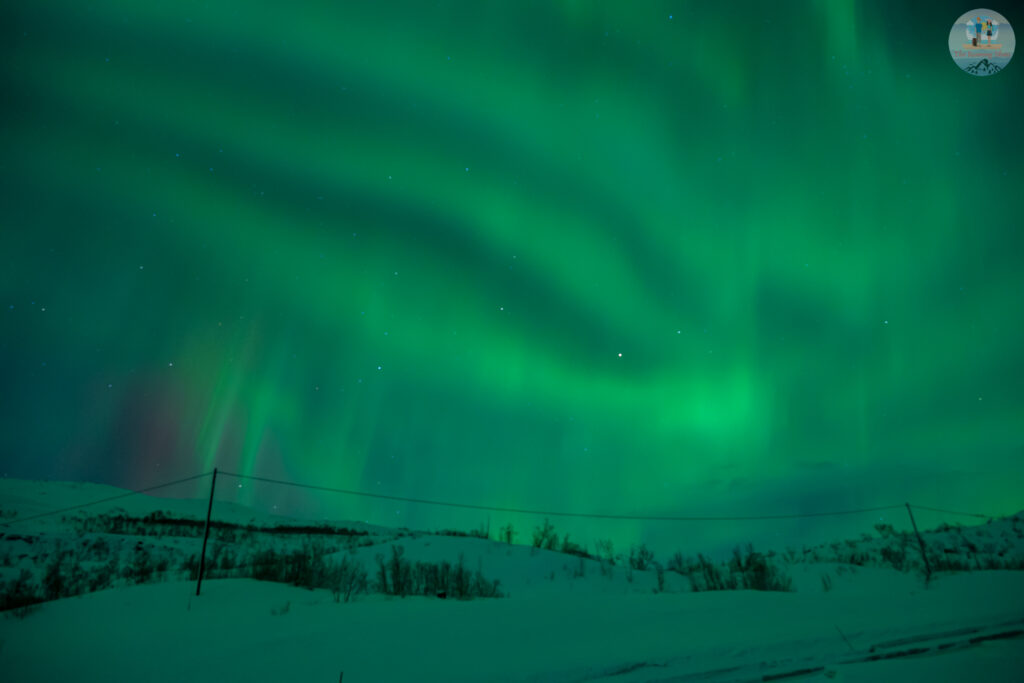 A sky full of magic - our best Northern Lights experience