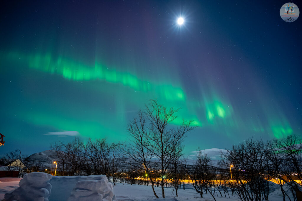 Aurora curtains