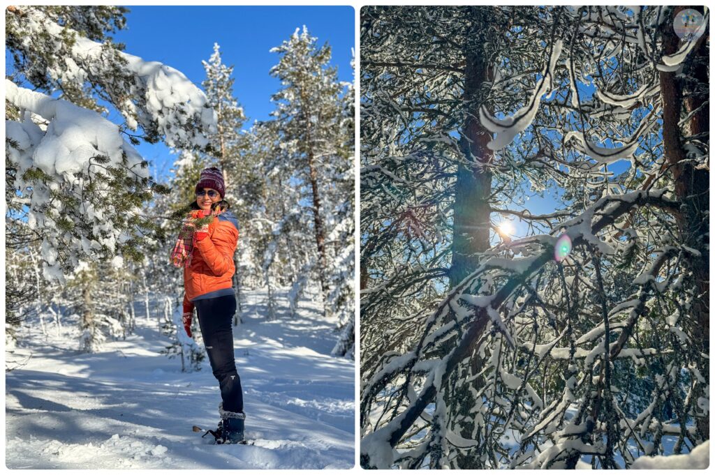 Winter views in Finland