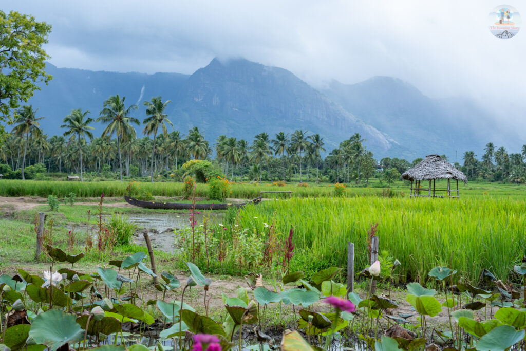 Kudilidam in Palakkad