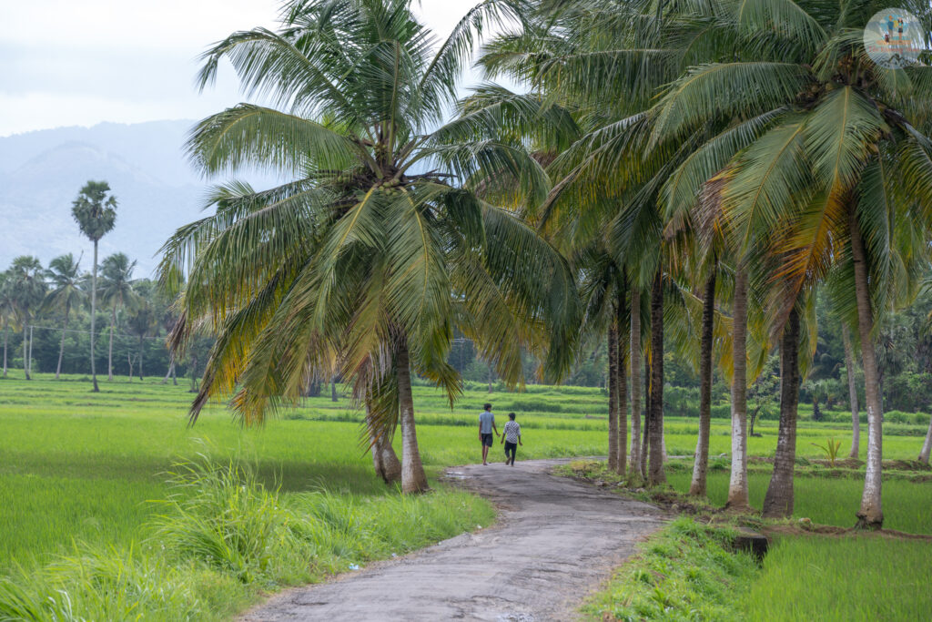 Monsoon views in Palassena
