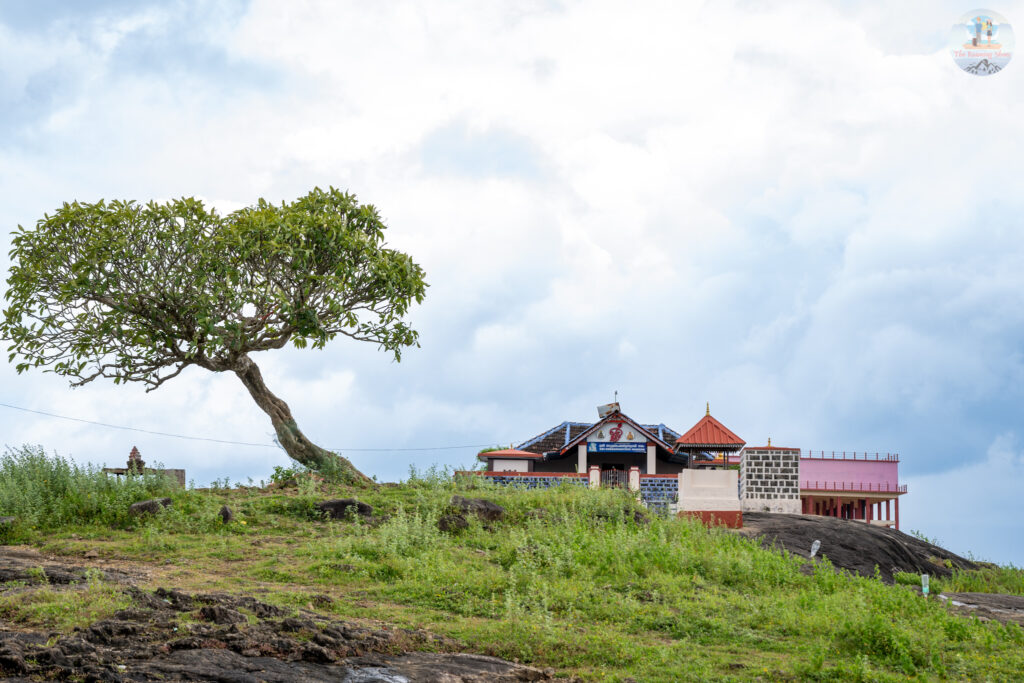 Vaamala Ayappan Temple, Pallassena