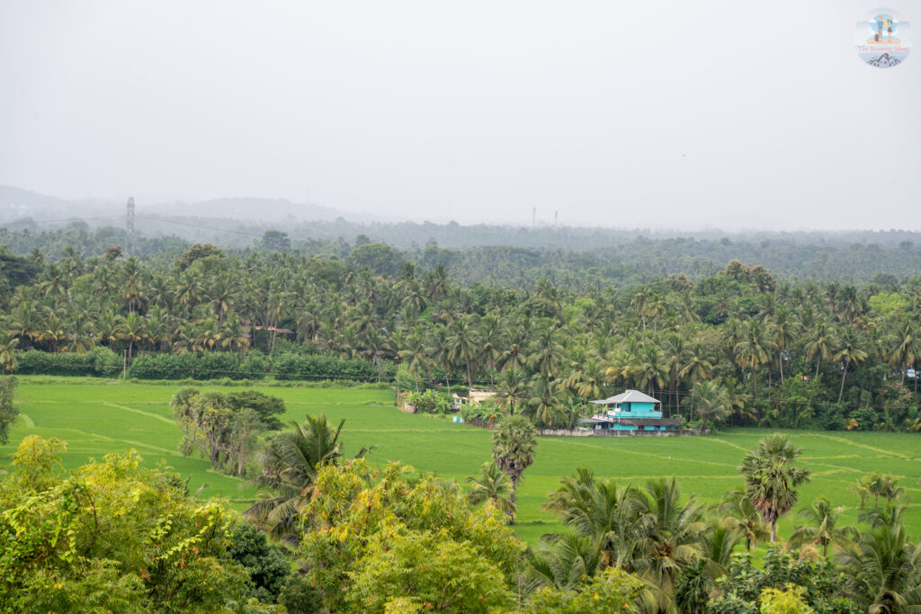 View from Vaamala Ayappan Temple, Pallassena