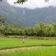 Palakkad