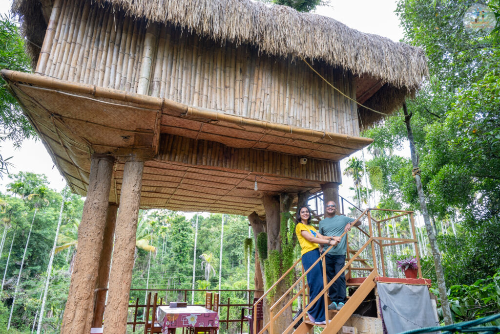Treehouse in Wayanad