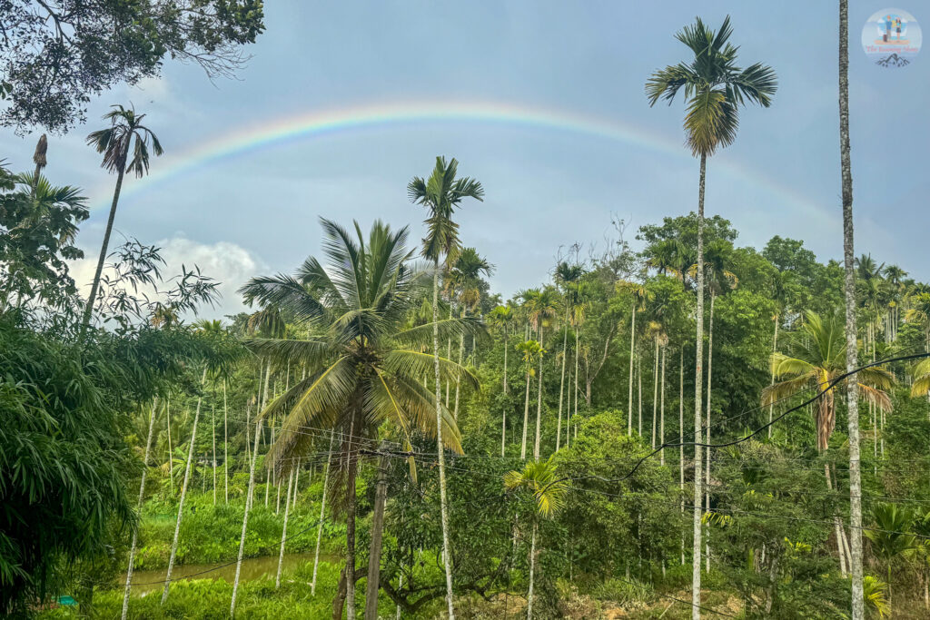 A rainbow at Wayanad
