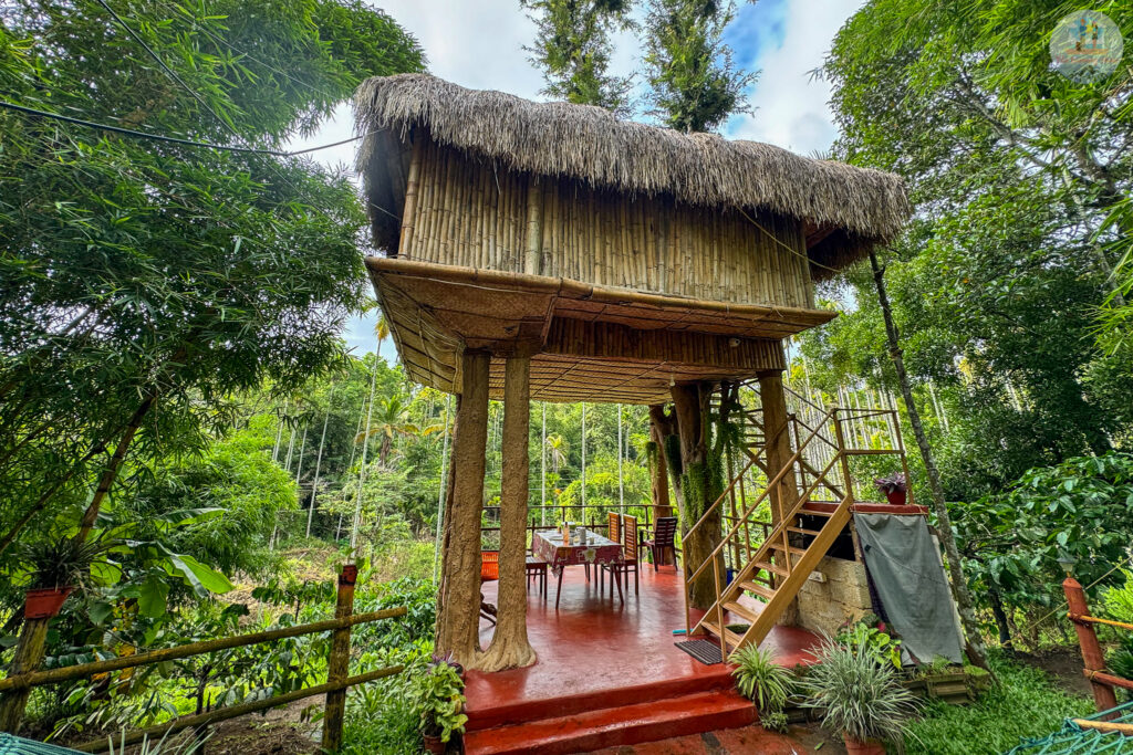 Treehouse at Kalidass treehouse and villa, Wayanad
