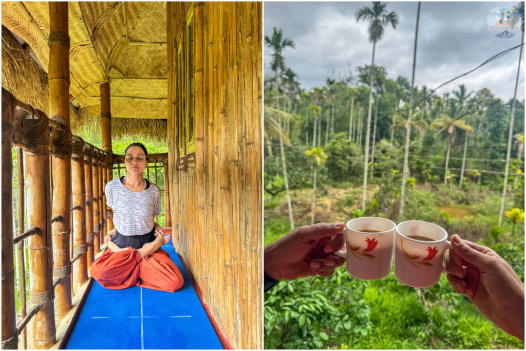 Mornings at Wayanad with Yoga and Tea